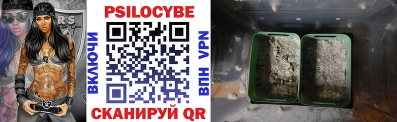 Галлюциногенные грибы Psilocybine cubensis Ивдель