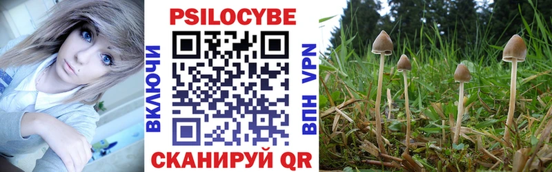 где найти   Ивдель  Галлюциногенные грибы ЛСД 